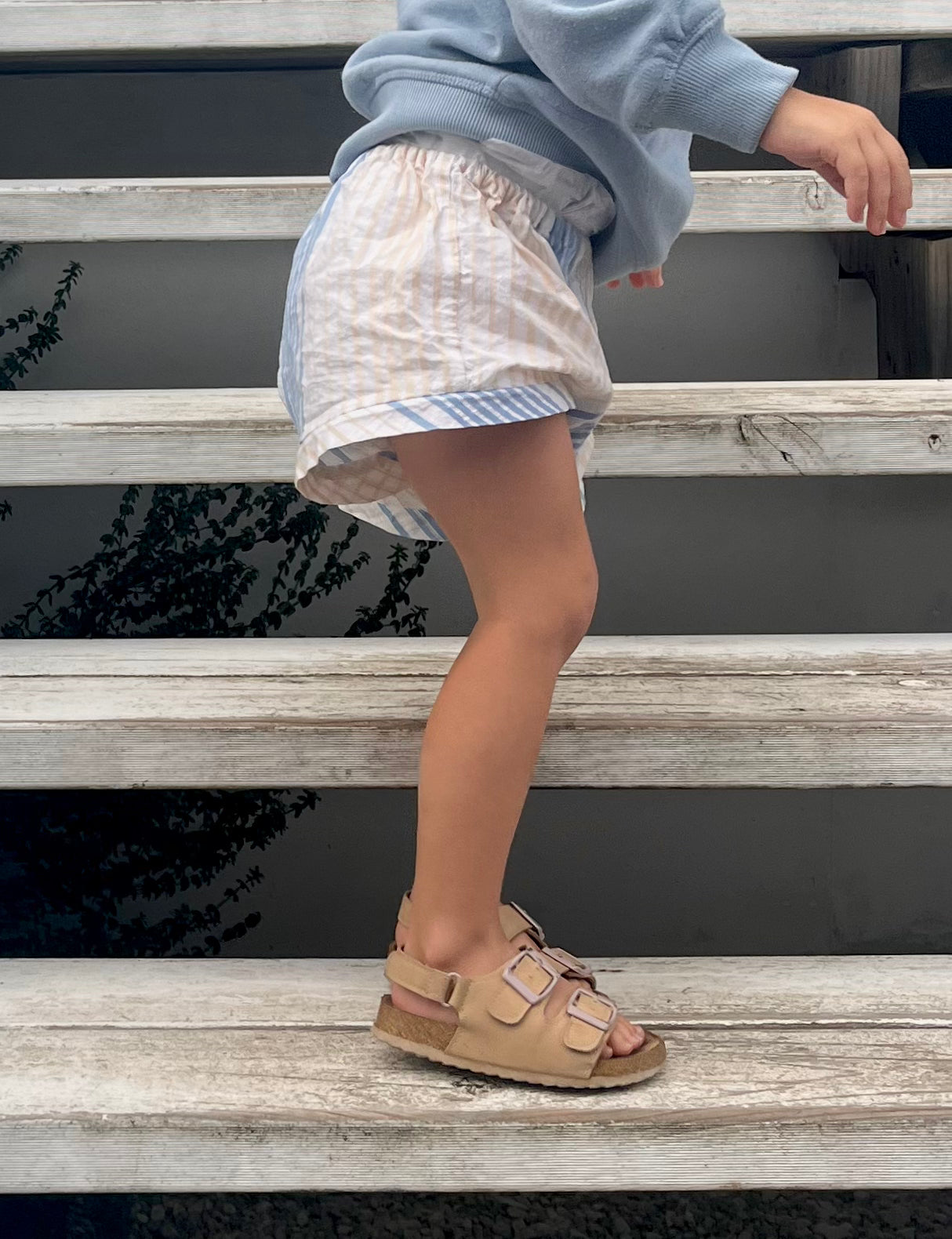 KIDS SIGNATURE SHORTIES - BEIGE/BLUE STRIPE
